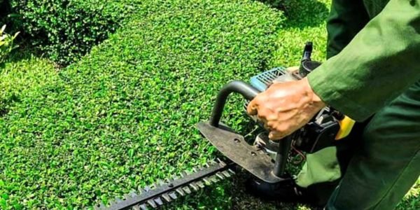 7 Elegant Garden Service - Exterior Design Ideas