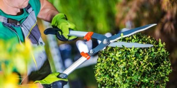 GardenService800kb-1920x1080