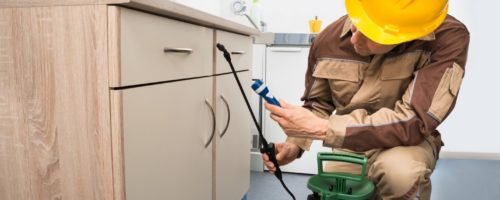 pestcontrol pestcontrol